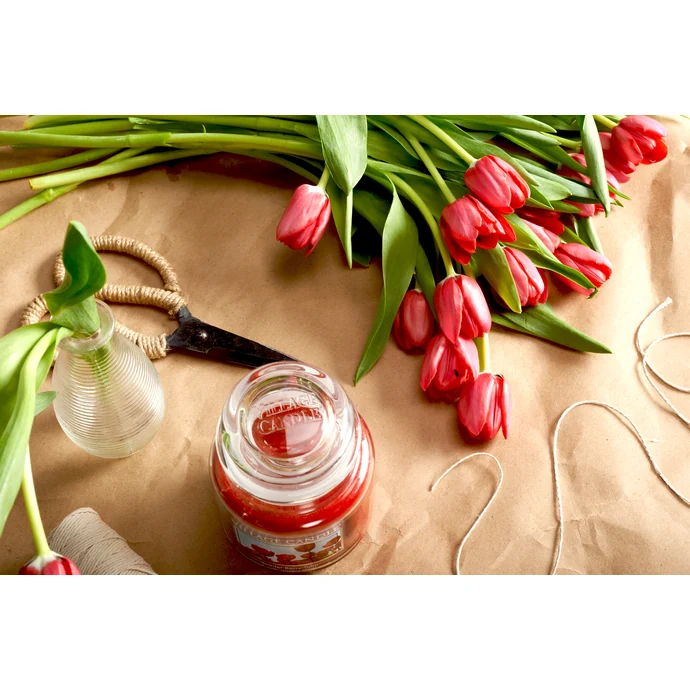 Svíčka ve skle Scarlet berry tulip - střední