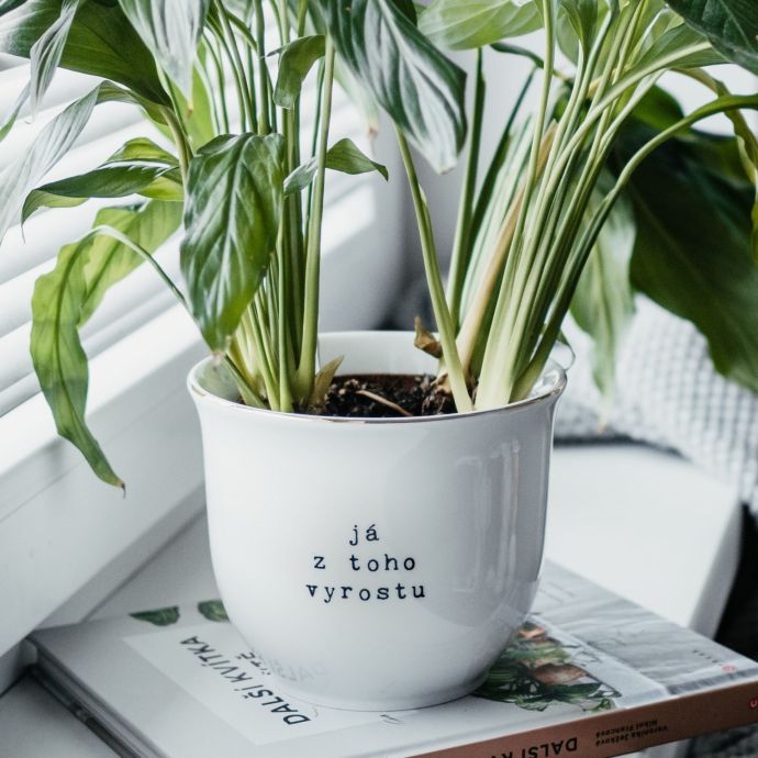 Porcelánový obal na květináč Já z toho vyrostu 13 cm