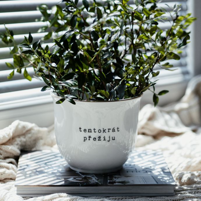 Porcelánový obal na květináč Tentokrát přežiju 13 cm
