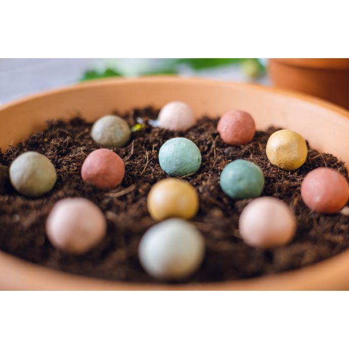 Sada semínek divokých květin Blossombs Mini - 4 ks