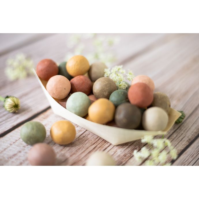 Sada semínek divokých květin Blossombs Mini - 4 ks