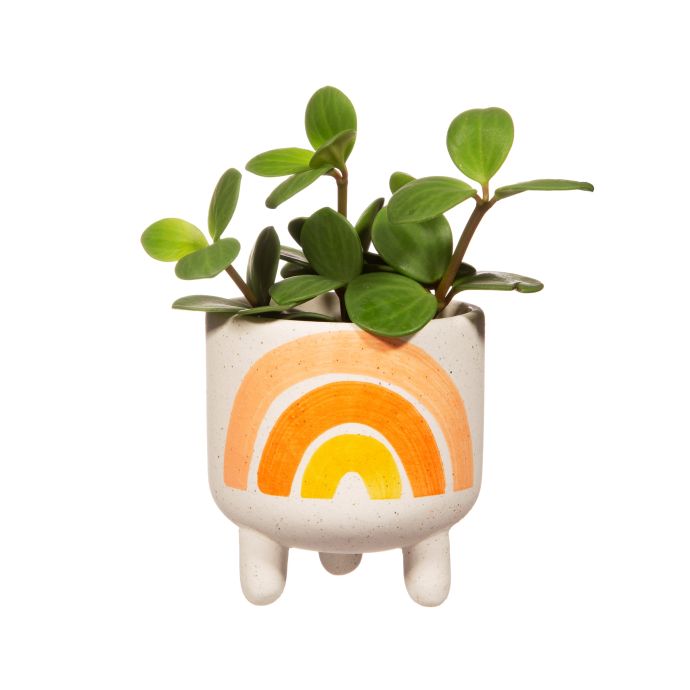 Keramický obal na květináč Rainbow Mini