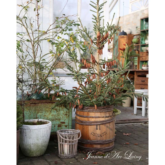 Kniha Moments of Hygge – Sif Orellana, Vivian Christensen