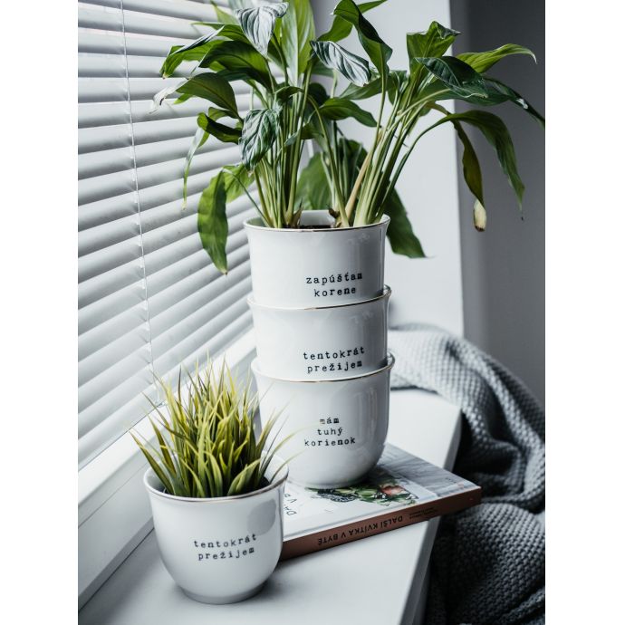 Porcelánový obal na květináč Zapúšťam korene 13 cm