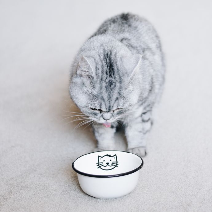 Menší smaltovaná miska Cat