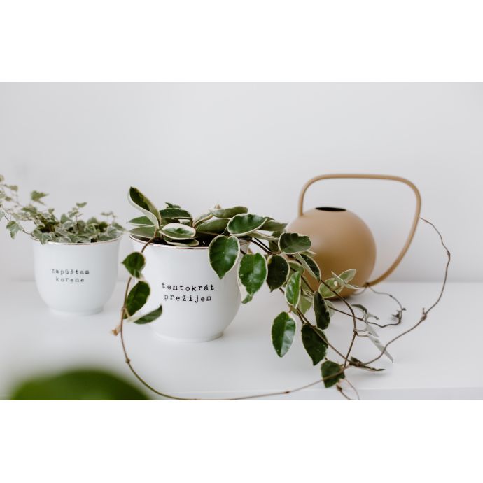 Porcelánový obal na květináč Zapúšťam korene 10 cm - SK