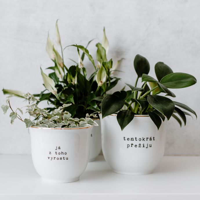 Porcelánový obal na květináč Tentokrát přežiju 13 cm