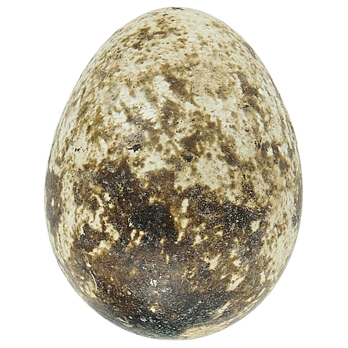 Dekorativní křepelčí vajíčka Natural - 20 ks
