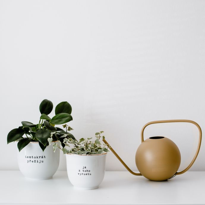 Porcelánový obal na květináč Já z toho vyrostu 10 cm