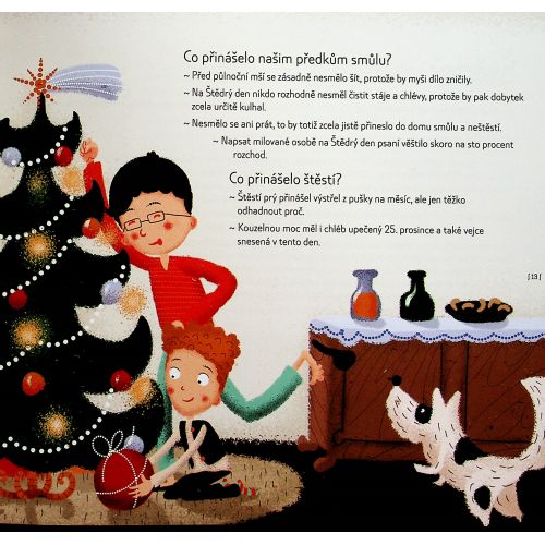 Kouzelné Vánoce - Šulc Petr