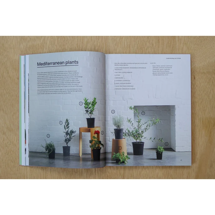 Kniha - Green: Plants for Small Spaces, Indoors and Out, Jason Chongue