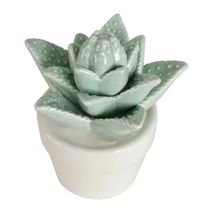 Porcelánová dekorace Aloe