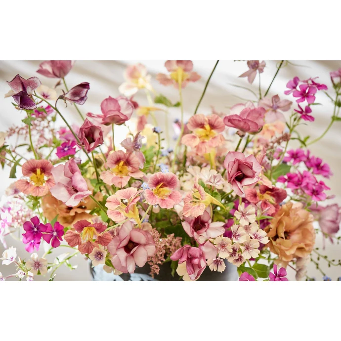Kniha – The Artistry of Flowers, Maria Gabriela Salazar