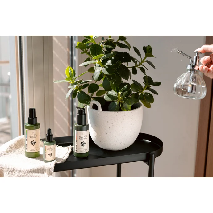 Skleněný rozprašovač Rounded Clear 200 ml