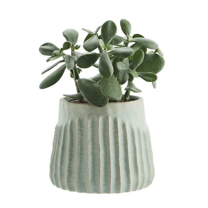 Keramický obal na květiny Sage 14 cm