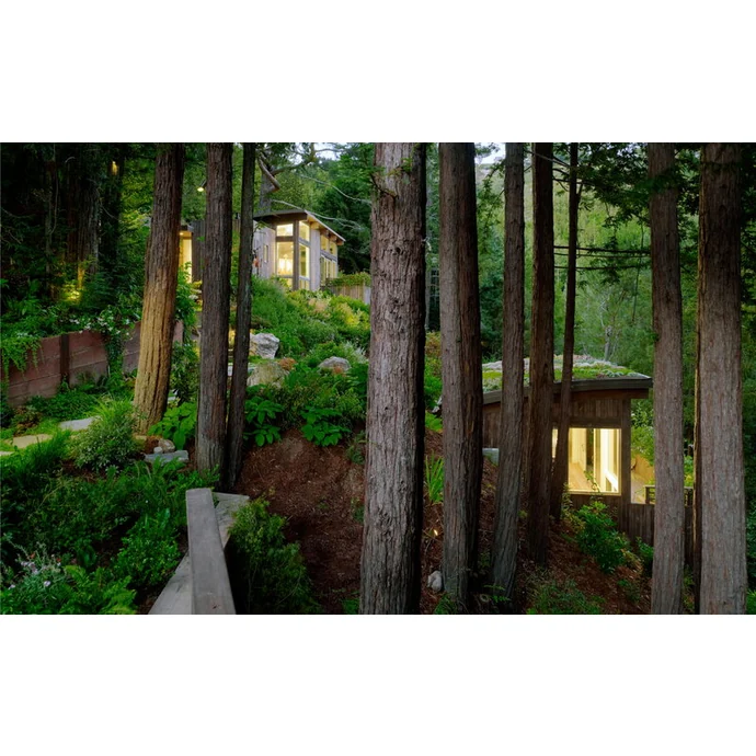 Evergreen Architecture - Overgrown Buildings and Greener Living