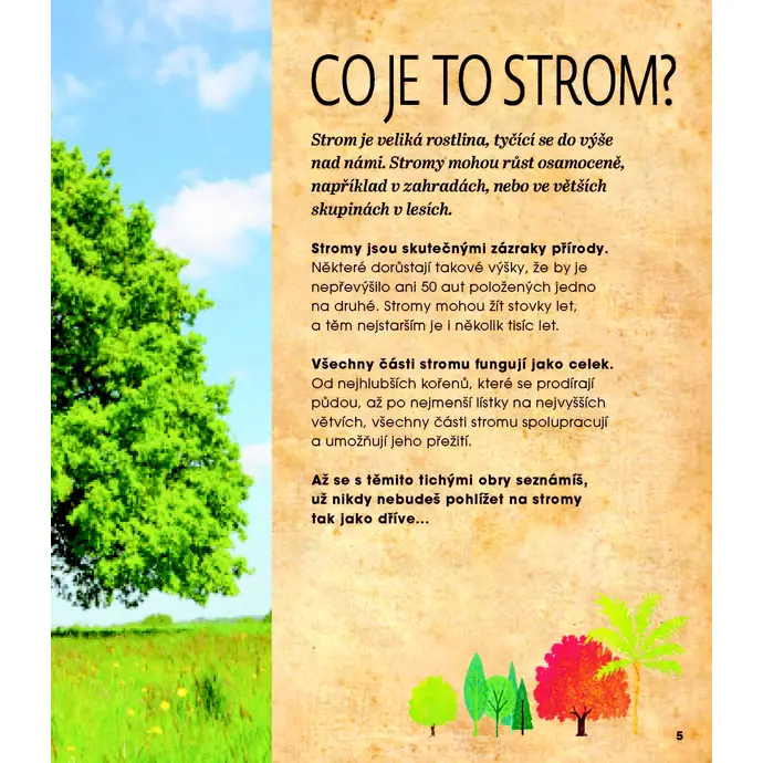 Stromy – Jejich kouzlo a tajemství