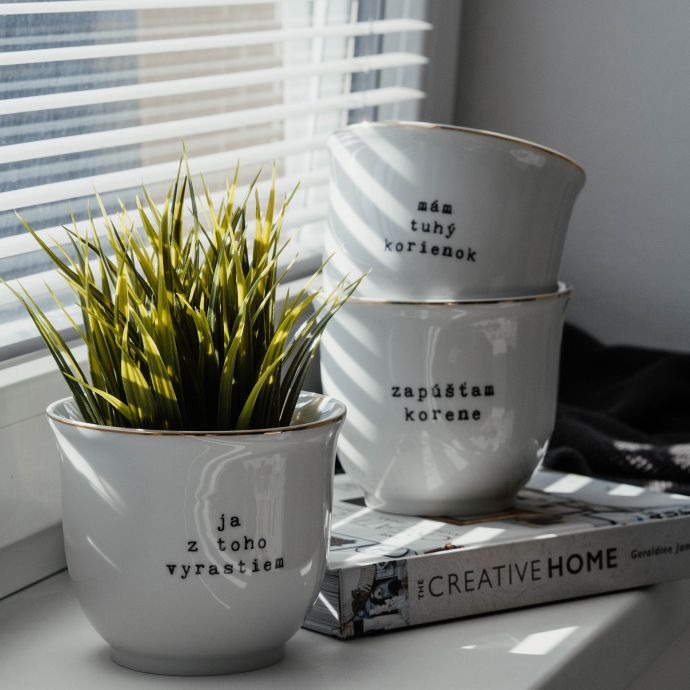 Porcelánový obal na květináč Zapúšťam korene 10 cm