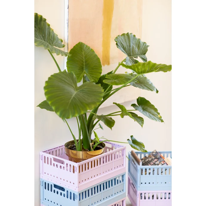 Skládací přepravka Lilac – maxi