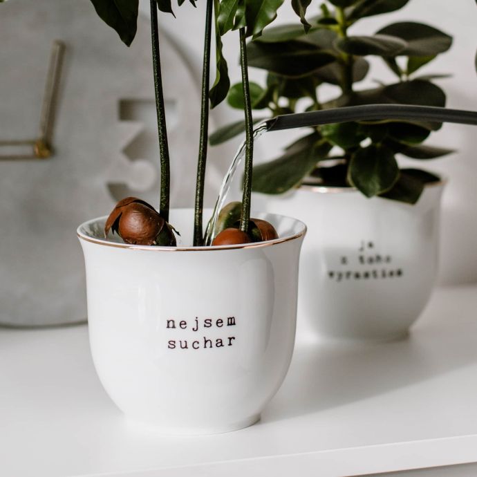 Porcelánový obal na květináč Nejsem suchar 13 cm