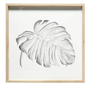 Dřevěný rám s obrázkem Monstera
