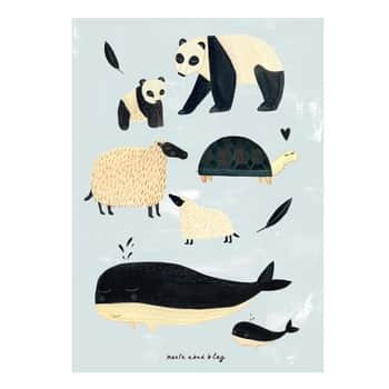 Plakát Black and white animals 50 x 70 cm