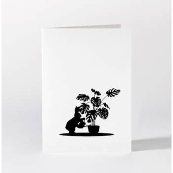Černo-biele prianie Watering Rabbit