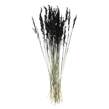 Dekorativní sušené květy Black 85 cm