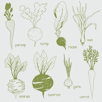 Papierové obrúsky Vegetables – 20 ks