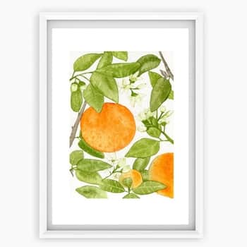 Plakát Pomeranče A4