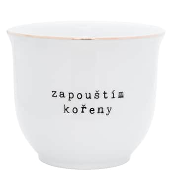 Porcelánový obal na květináč Zapouštím kořeny 13 cm