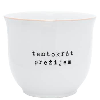 Porcelánový obal na květináč Tentokrát prežijem 13 cm - SK