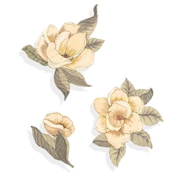 Samolepka na zeď Anemones - Set 3 ks