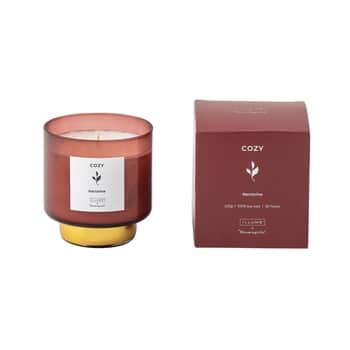 Luxusní vonná svíčka ve skle COZY Nectarine 222g