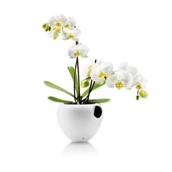 Samozavlažovací obal na kvetináč Orchid Pot White