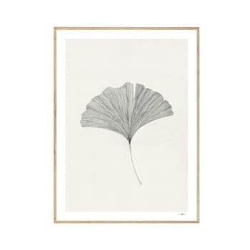 Autorský plakát Ginkgo Leaf by Ana Frois A4