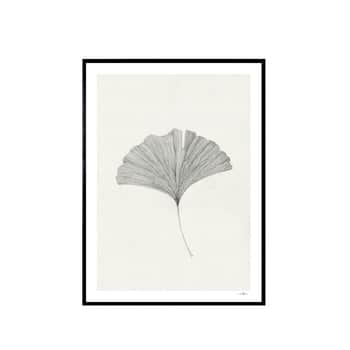 Autorský mini plagát Ginkgo Leaf by Ana Frois A5