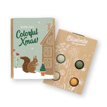 Vánoční dárková sada semínek divokých květin Xmas Garden Mini - 4 ks