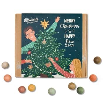 Vánoční dárková sada semínek divokých květin Xmas Tree Medium - 9 ks