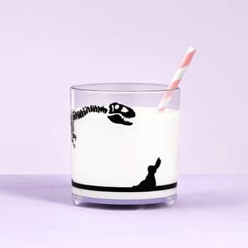 Plastová sklenice Dinosaur 250 ml
