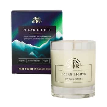 Vonná sojová svíčka Polar Lights  170 ml