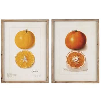 Obraz v rámu Citrus Fruits 45 x 60 cm