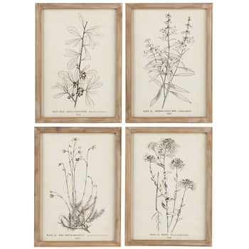 Obraz v rámu Plant Motifs 27 x 37 cm
