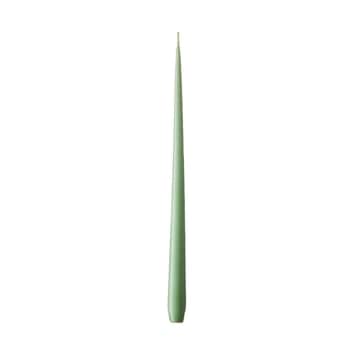 Svíčka Slim 32 cm – 66 Eucalyptus