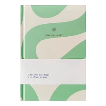 Pětiletý deník One Line a Day / Flow Mint