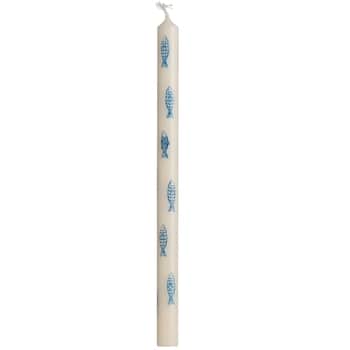 Svíčka Taper Blue Fish 20 cm
