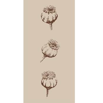 Papírové ubrousky Poppy – 16 ks